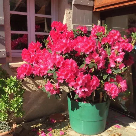 L 'oustalou Bed & Breakfast